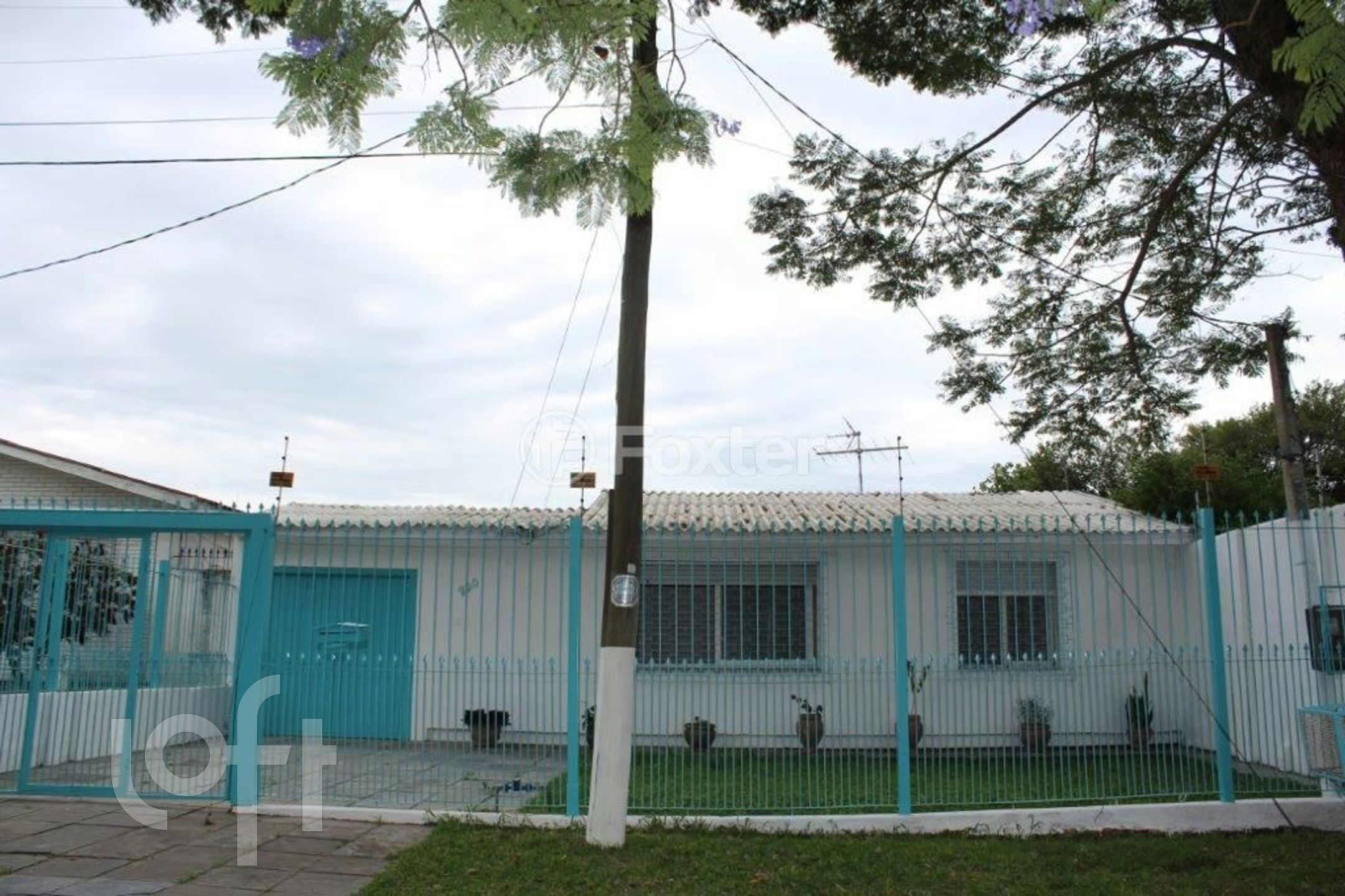 Imagem da propriedade 42