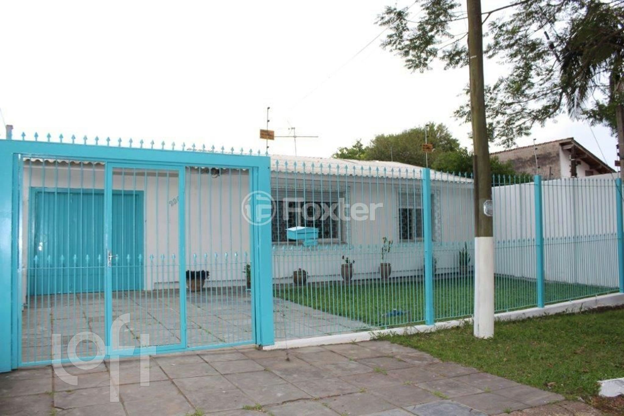 Imagem da propriedade 37