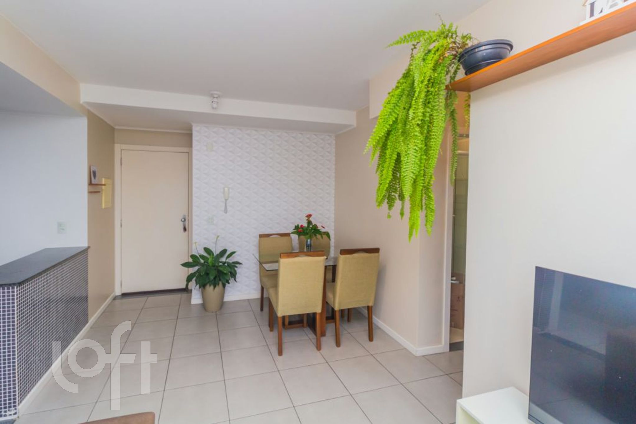 Imagem da propriedade 4