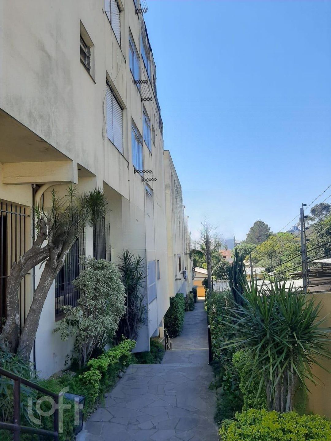 Imagem da propriedade 16