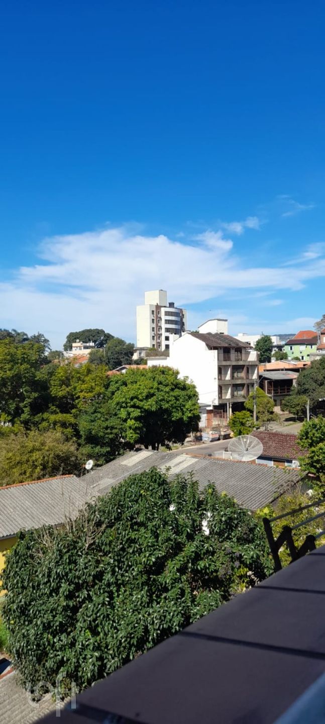 Imagem da propriedade 15