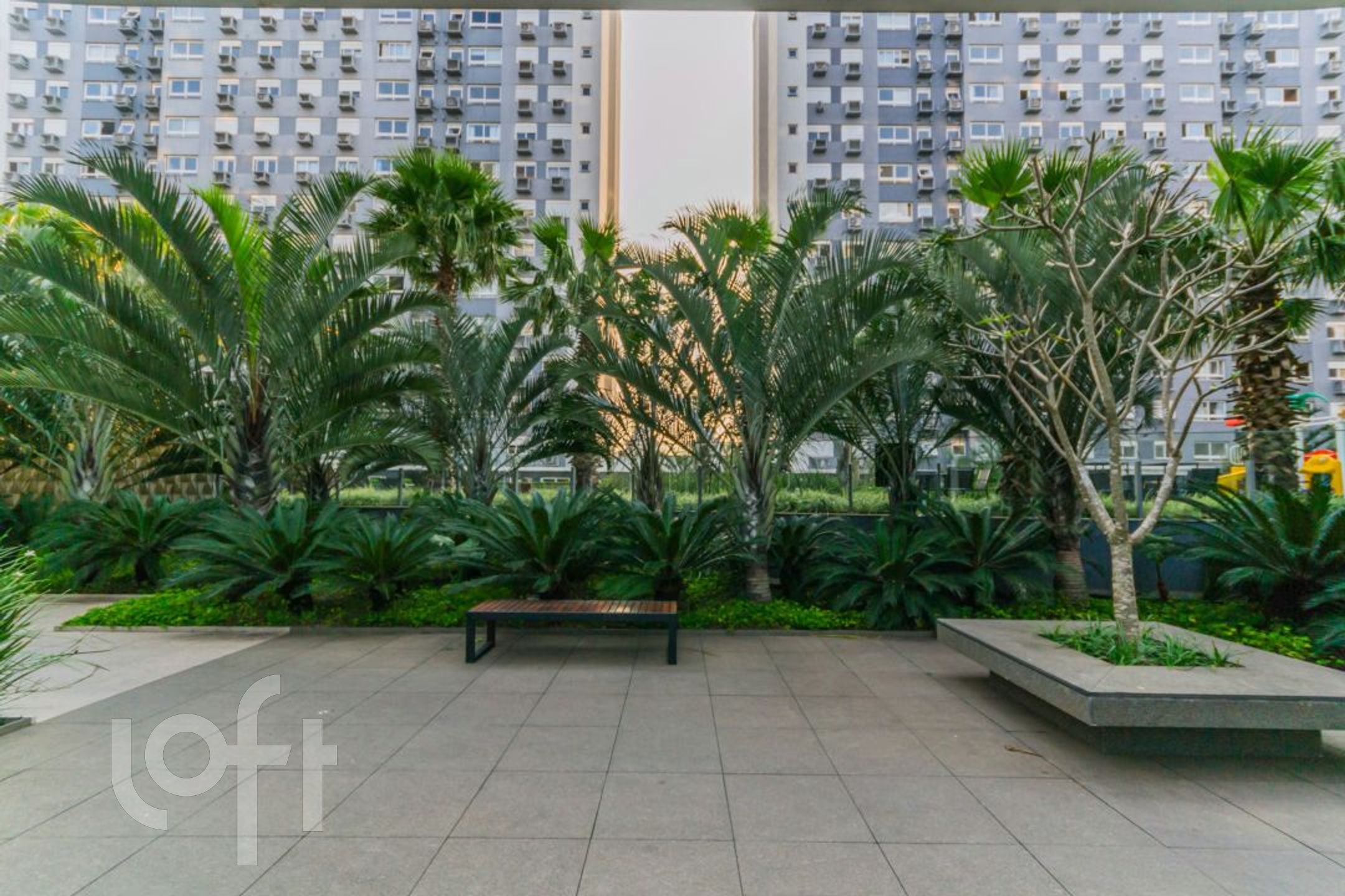 Imagem da propriedade 36