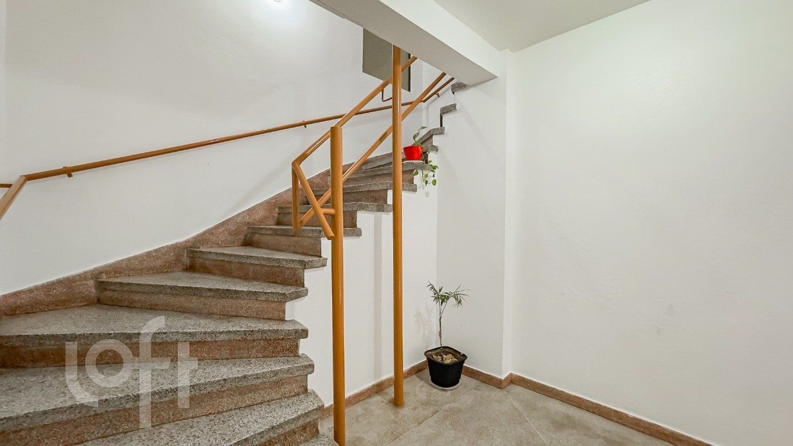 Imagem da propriedade 19