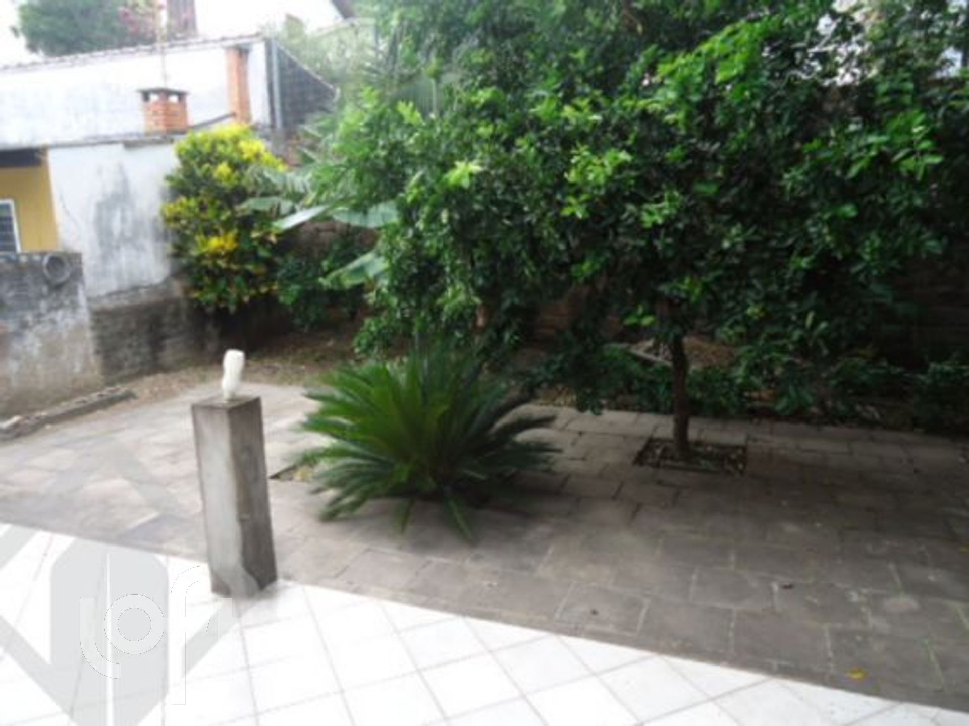 Imagem da propriedade 15