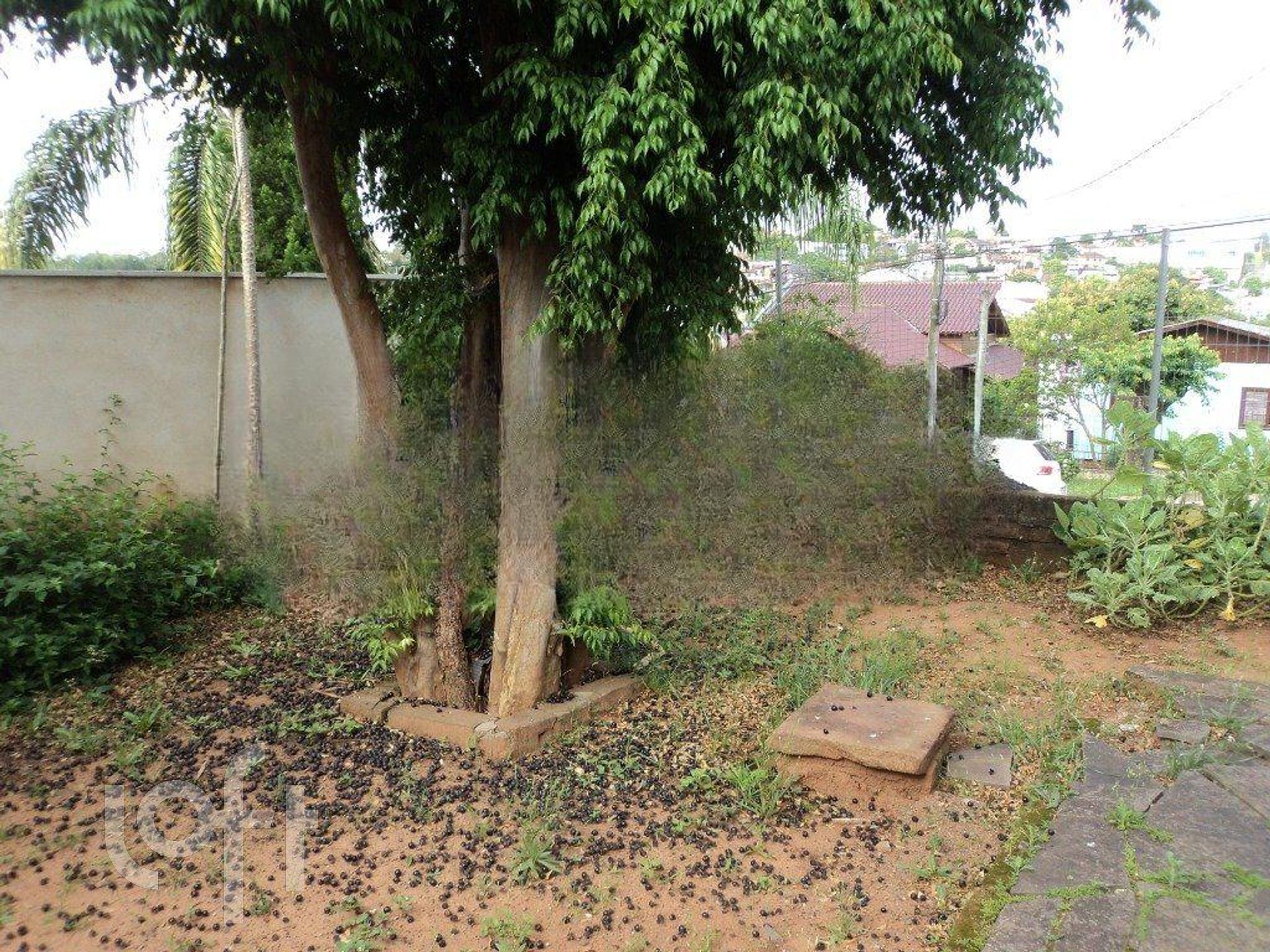 Imagem da propriedade 8