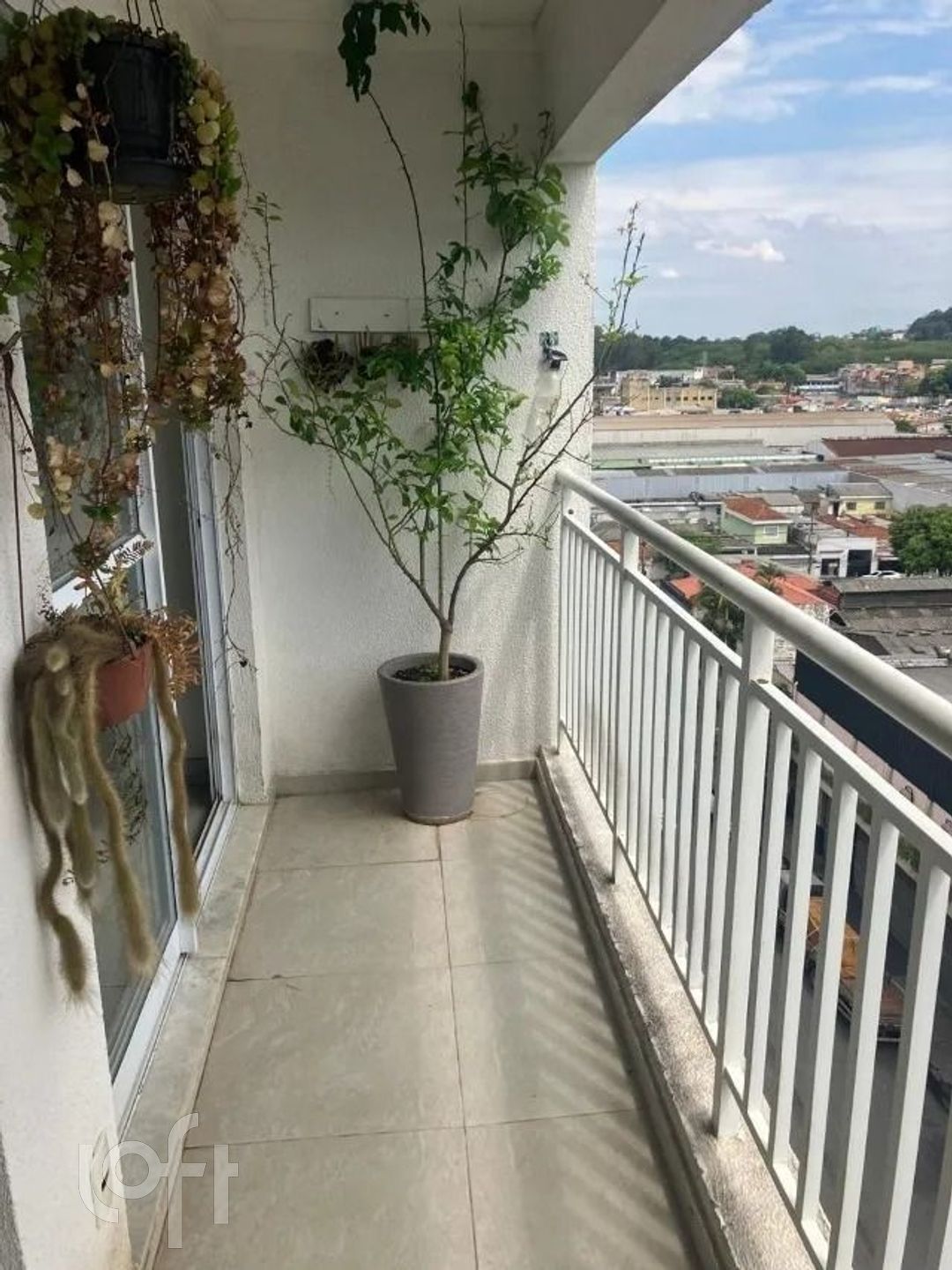 Imagem da propriedade 5