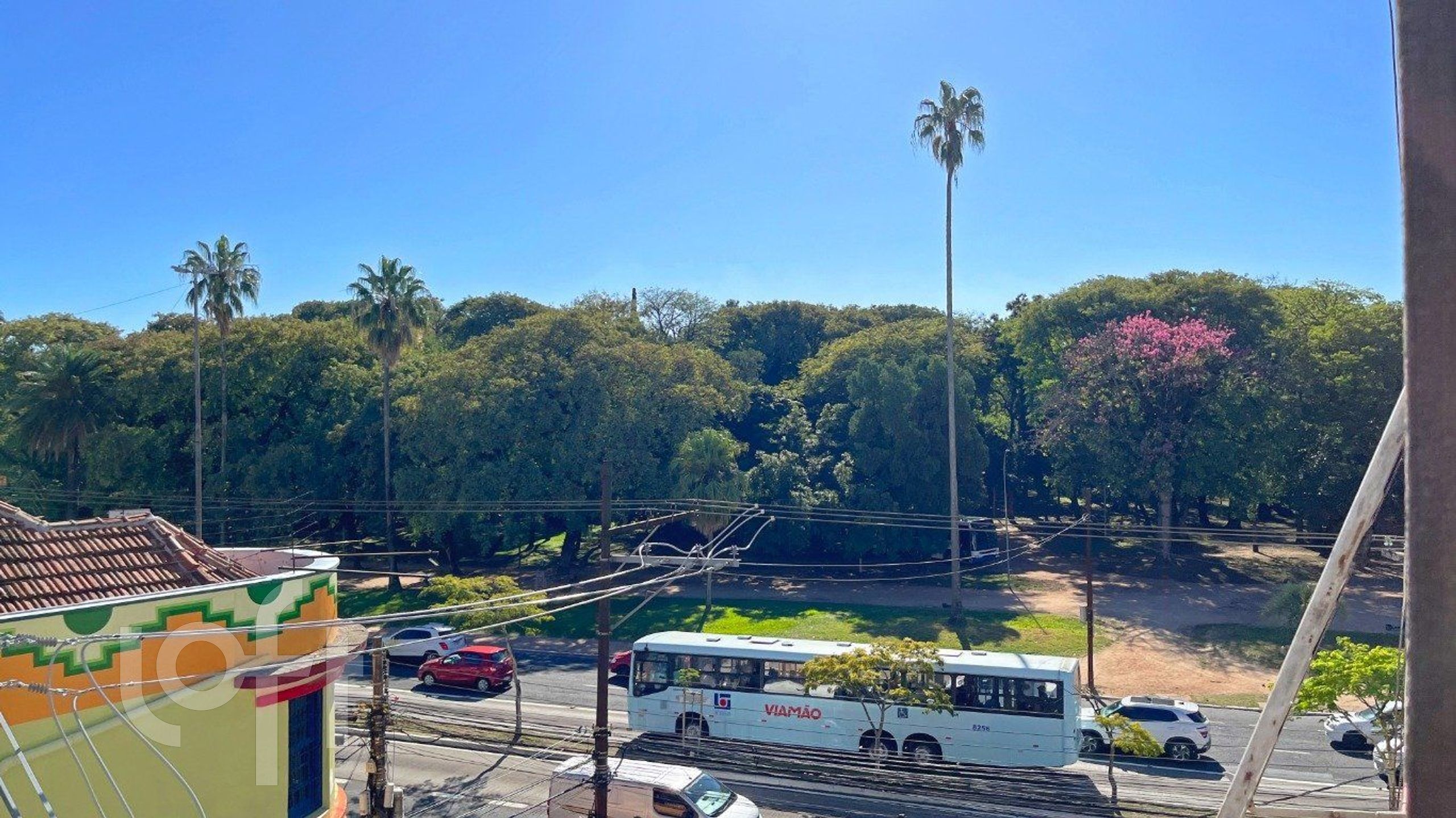 Imagem da propriedade 24