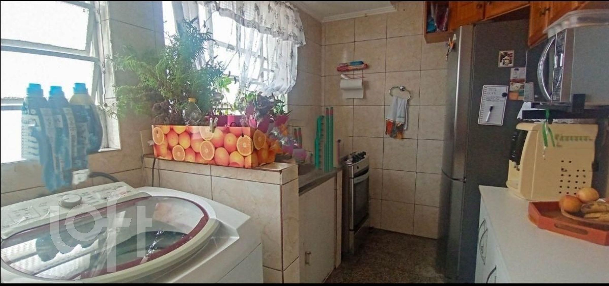 Imagem da propriedade 5