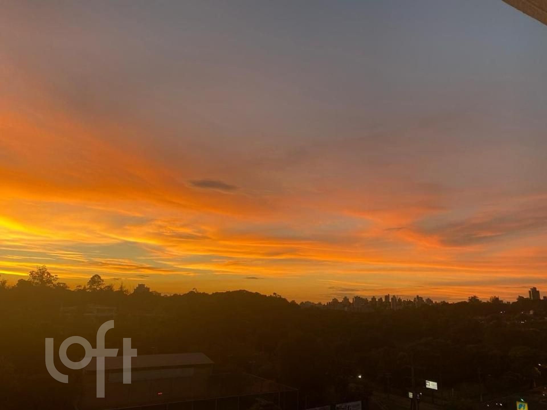 Imagem da propriedade 31