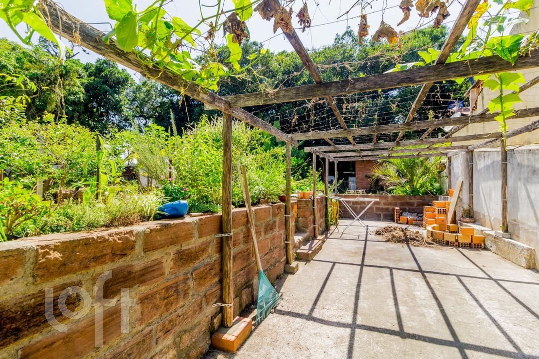 Imagem da propriedade 33