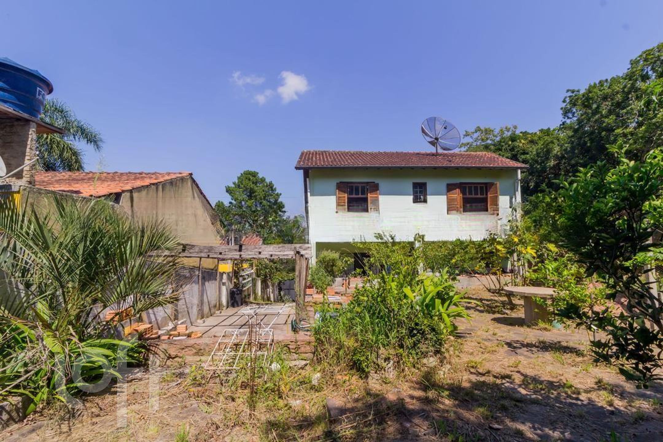 Imagem da propriedade 31