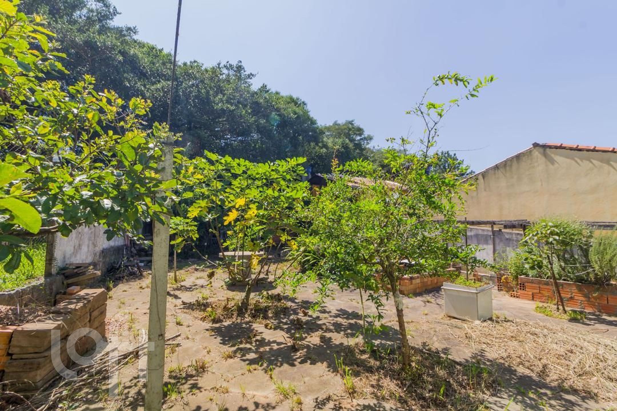 Imagem da propriedade 3