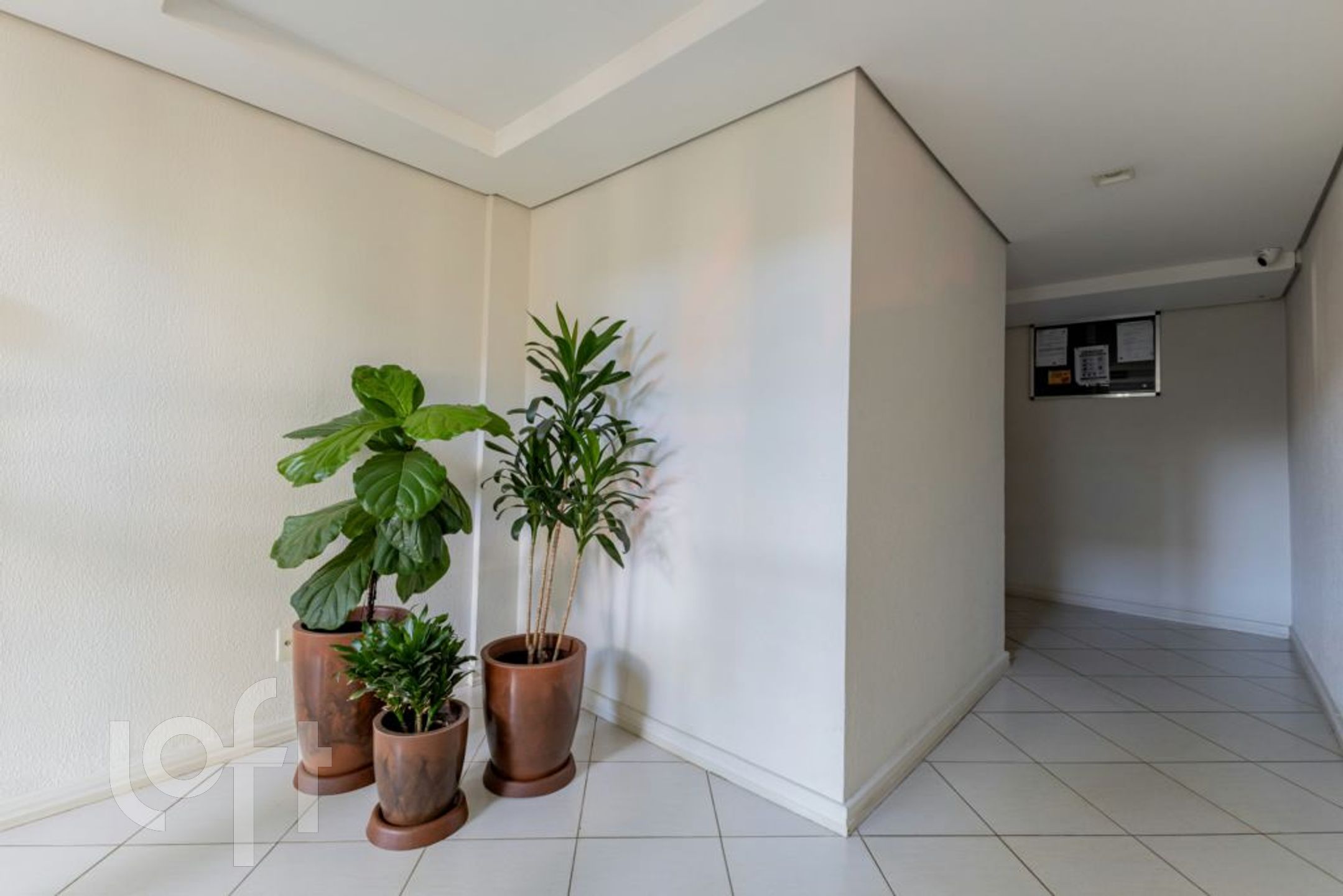 Imagem da propriedade 24