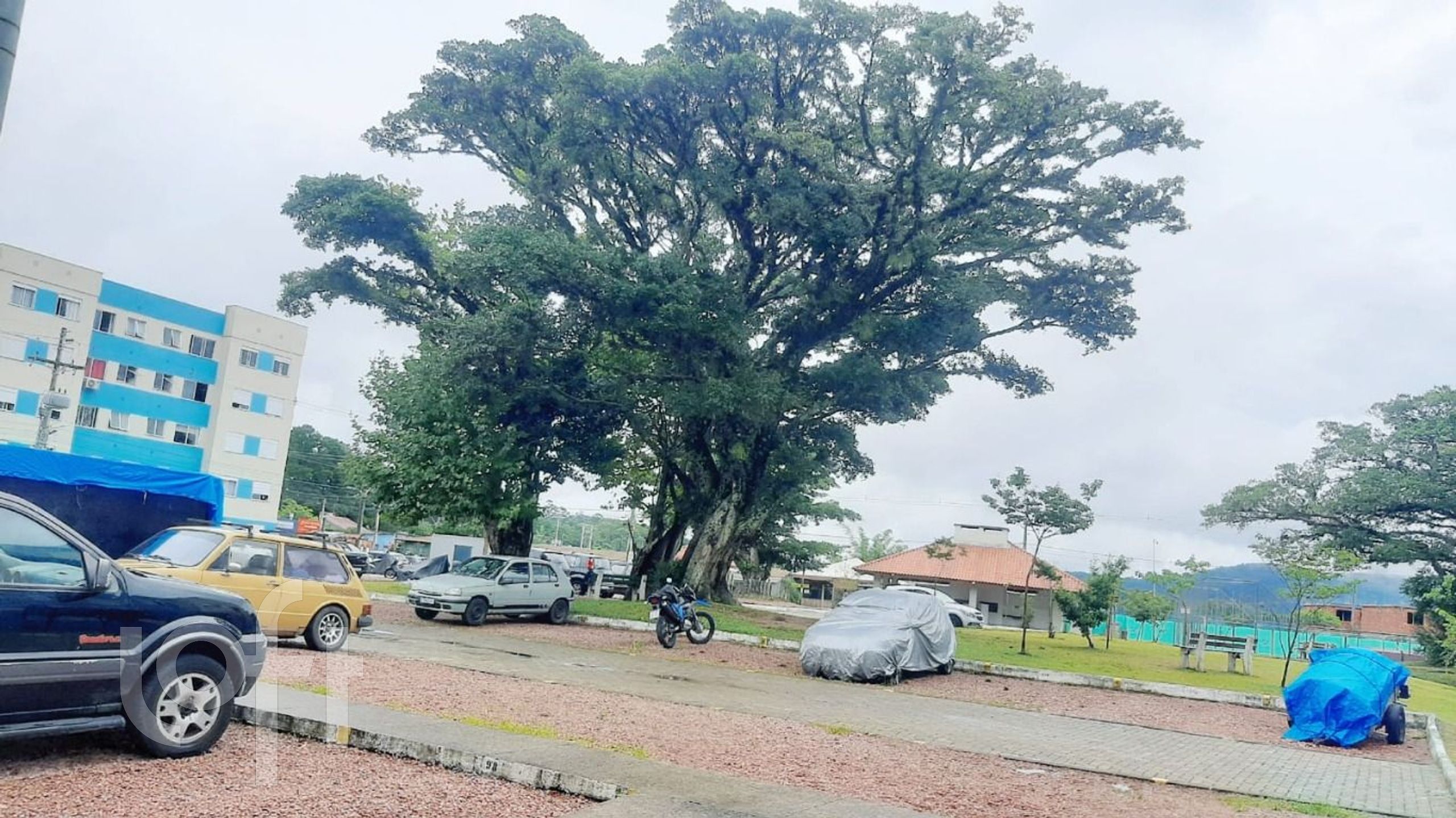 Imagem da propriedade 16