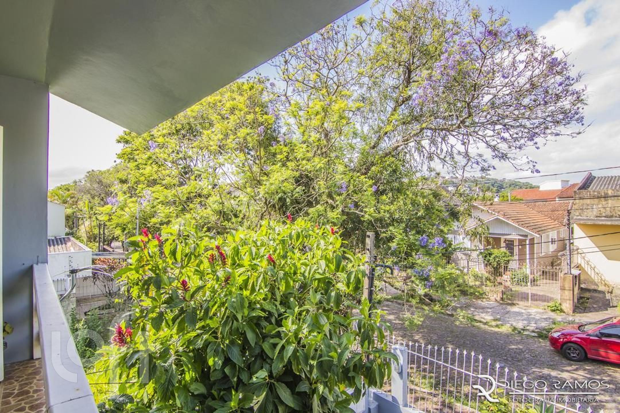 Imagem da propriedade 12