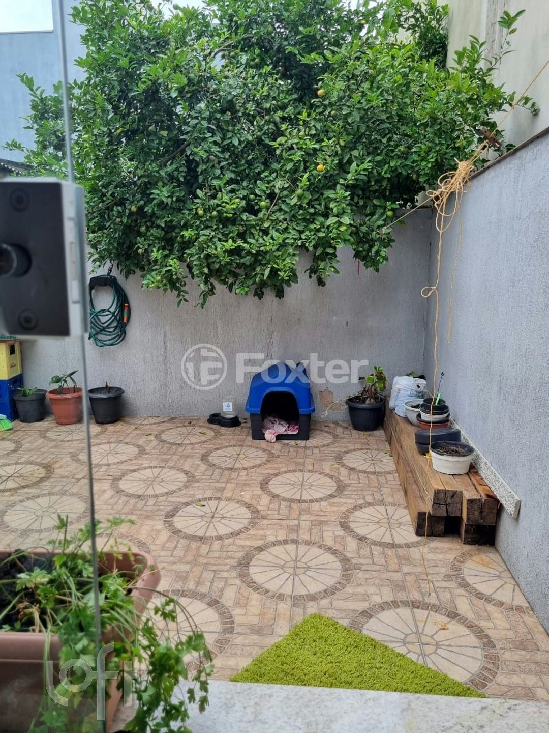 Imagem da propriedade 23