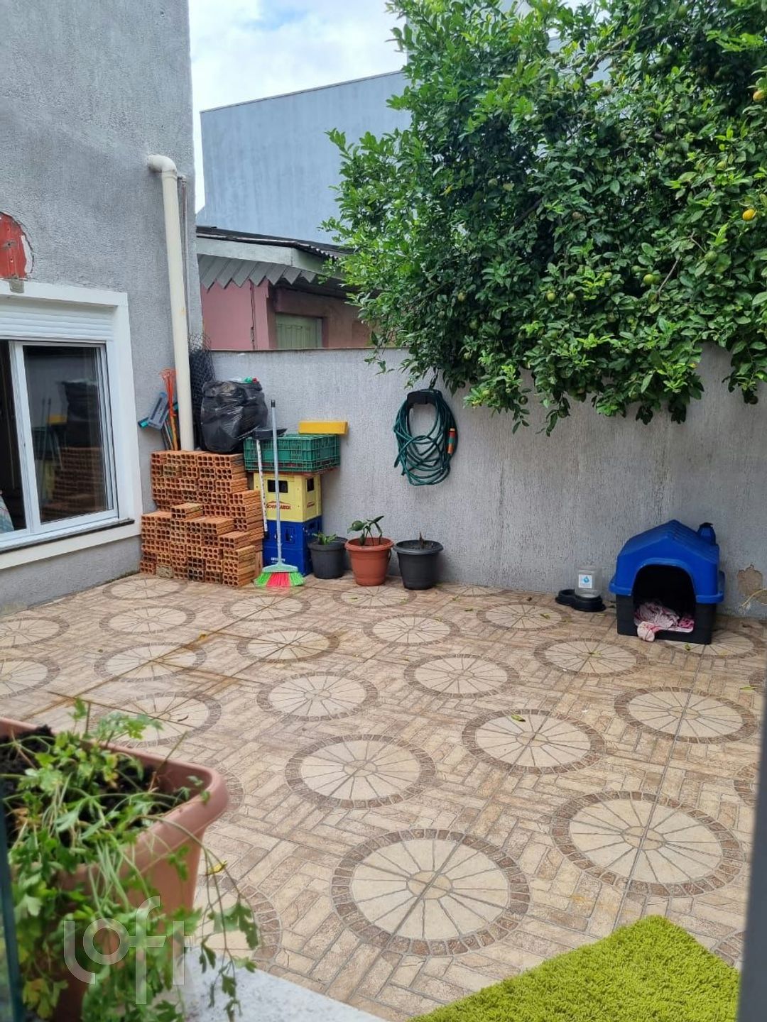 Imagem da propriedade 21