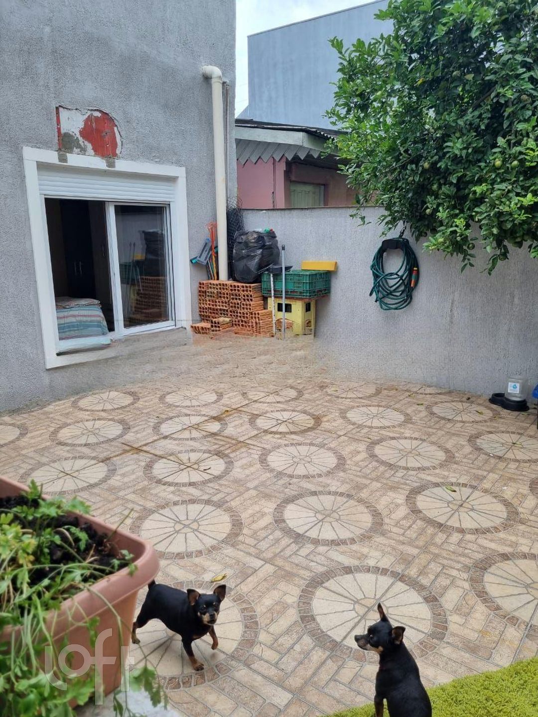 Imagem da propriedade 20