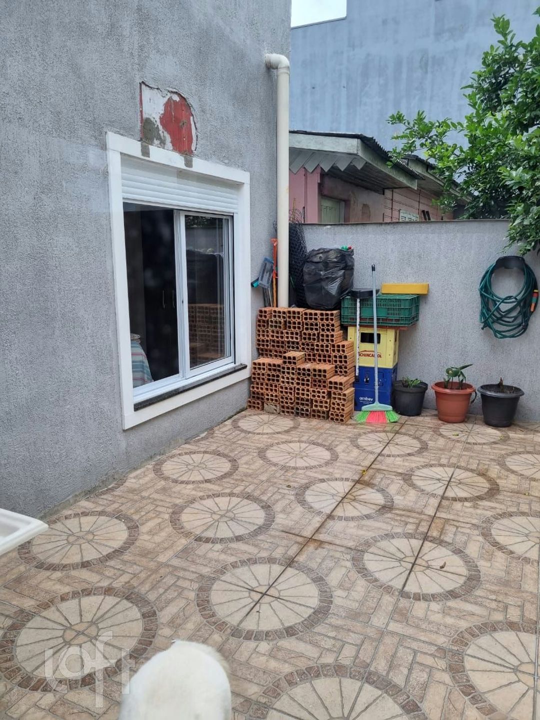 Imagem da propriedade 19