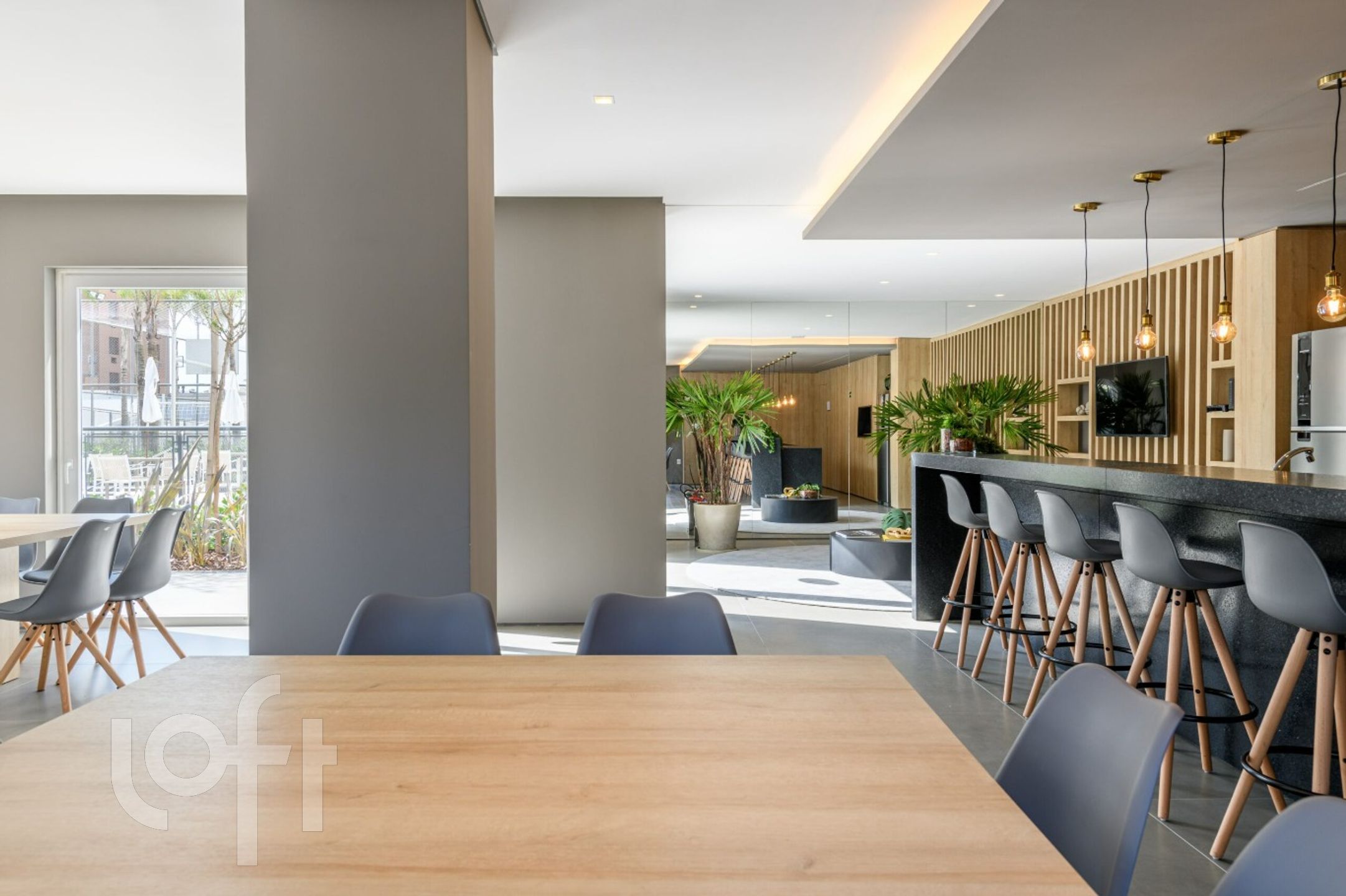 Imagem da propriedade 15