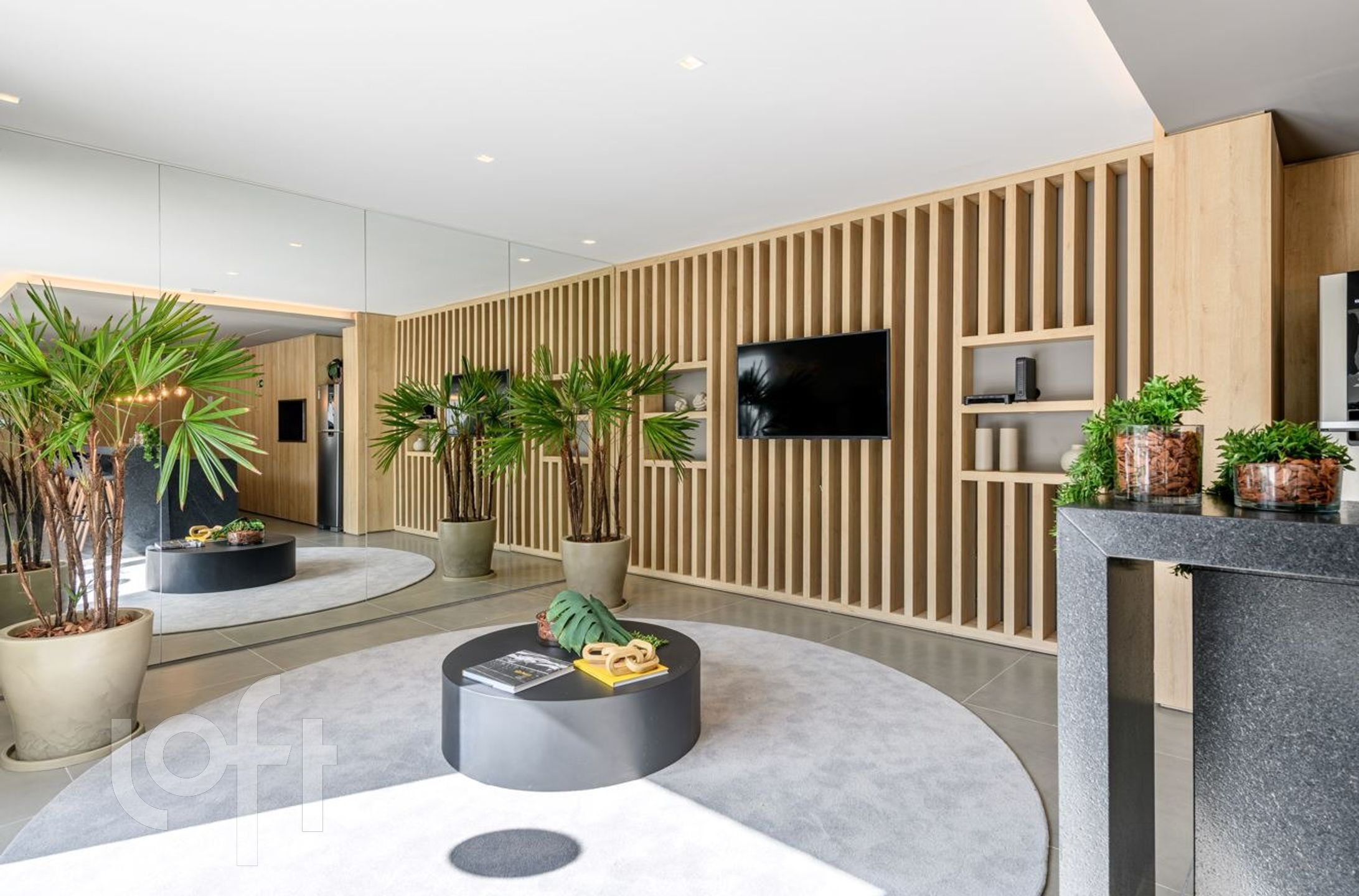 Imagem da propriedade 6