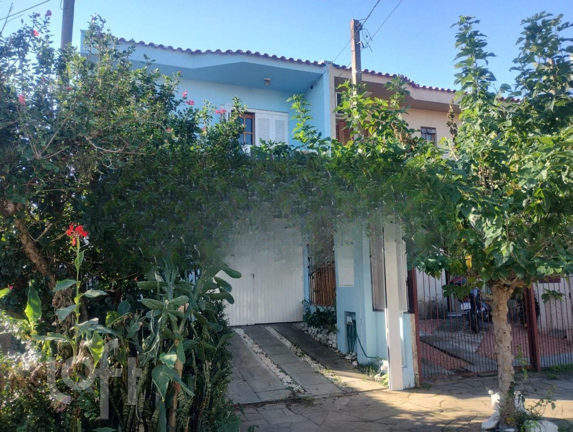 Imagem da propriedade 3