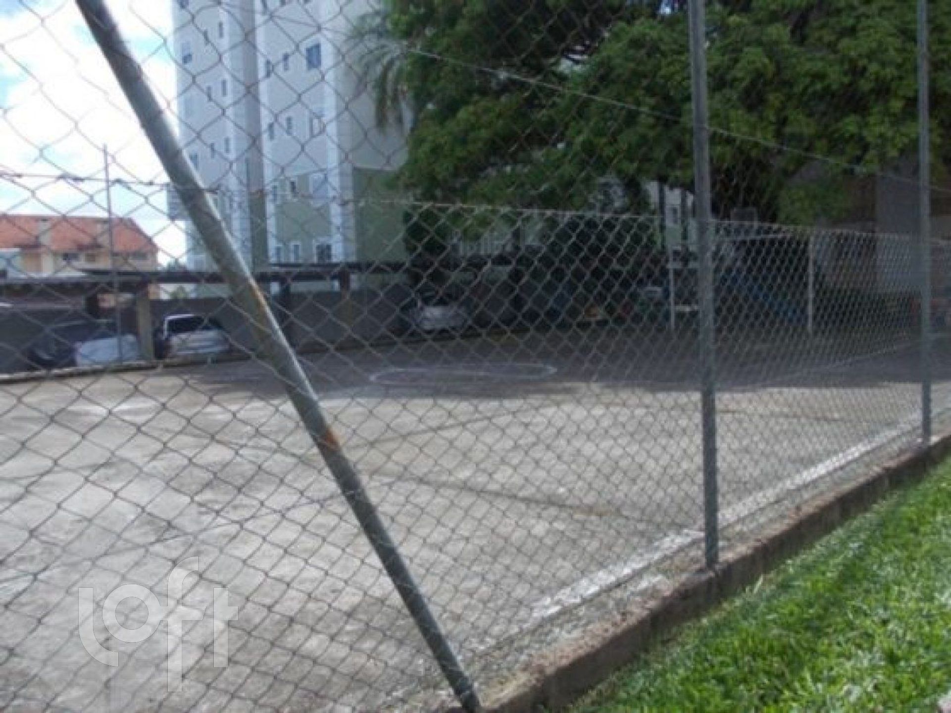 Imagem da propriedade 10