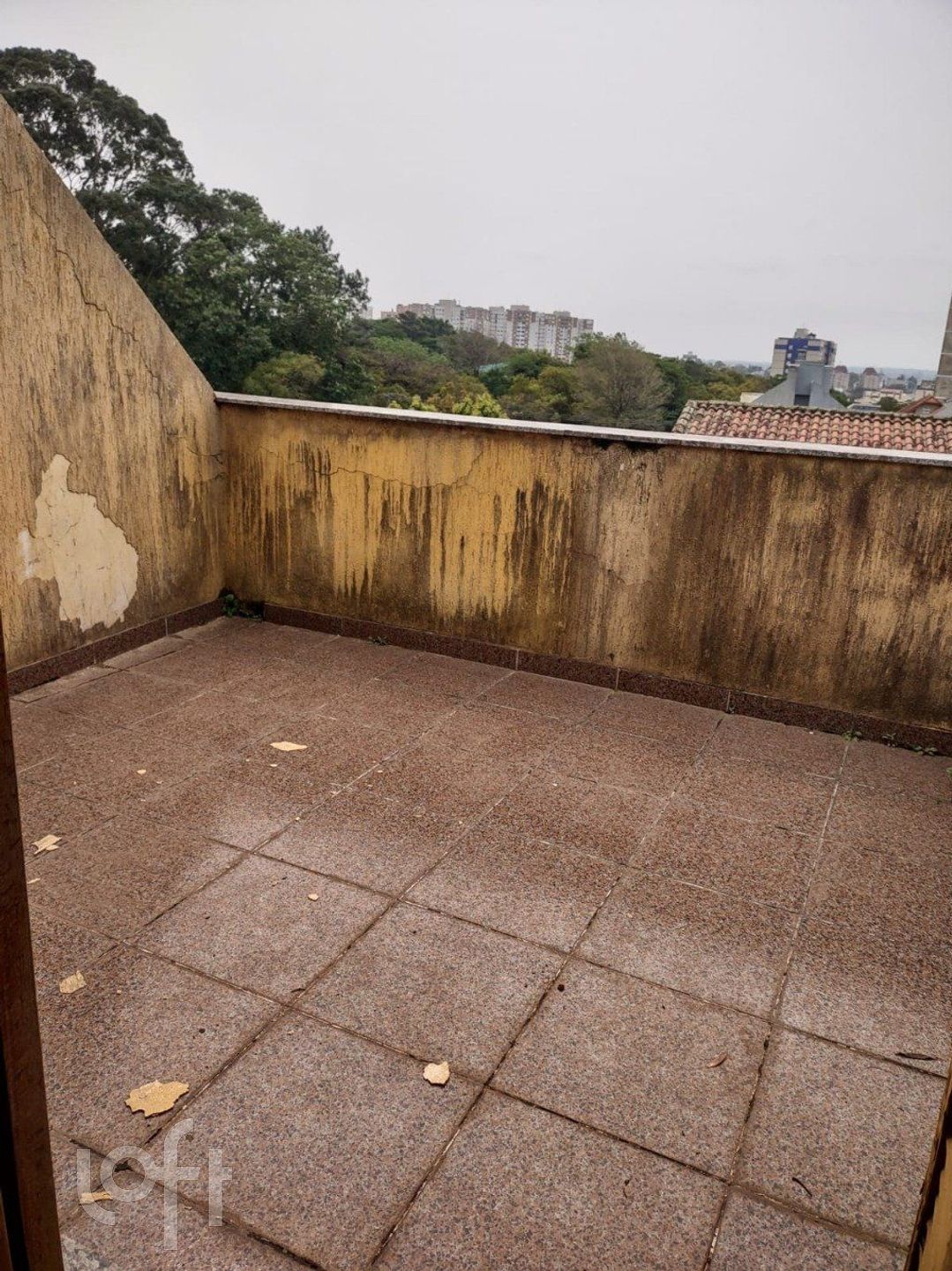Imagem da propriedade 6