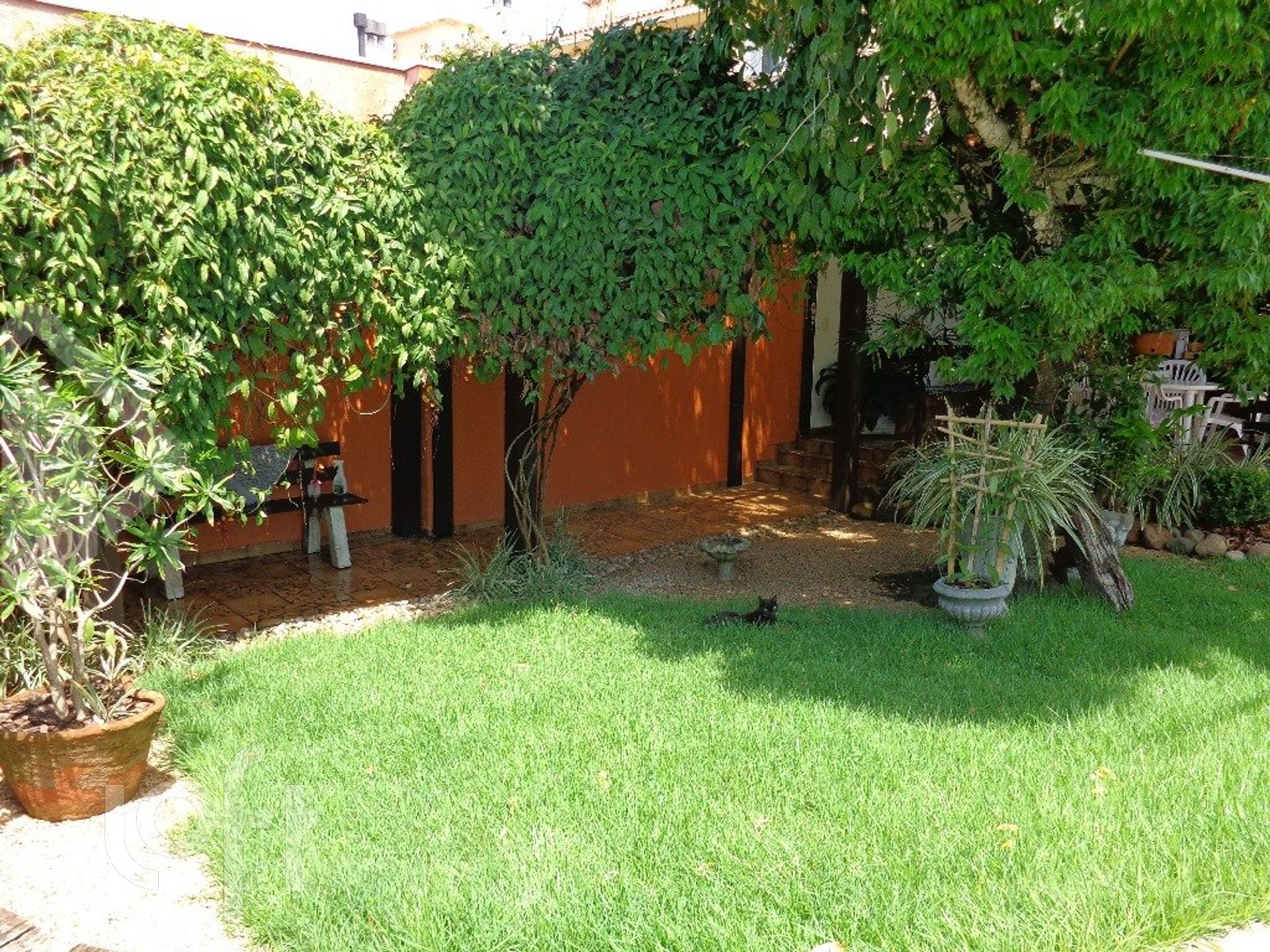 Imagem da propriedade 34