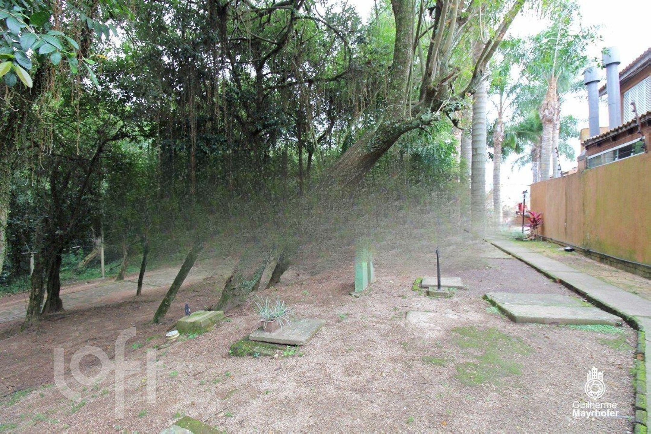 Imagem da propriedade 4