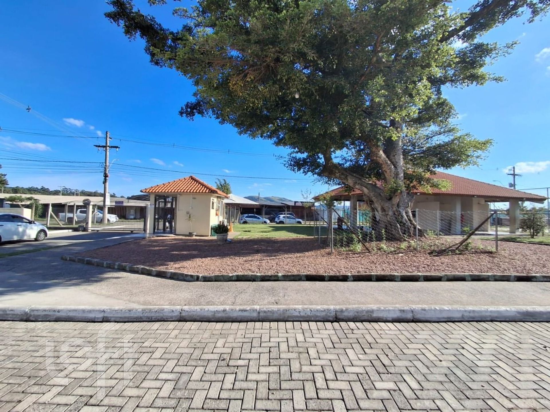 Imagem da propriedade 23