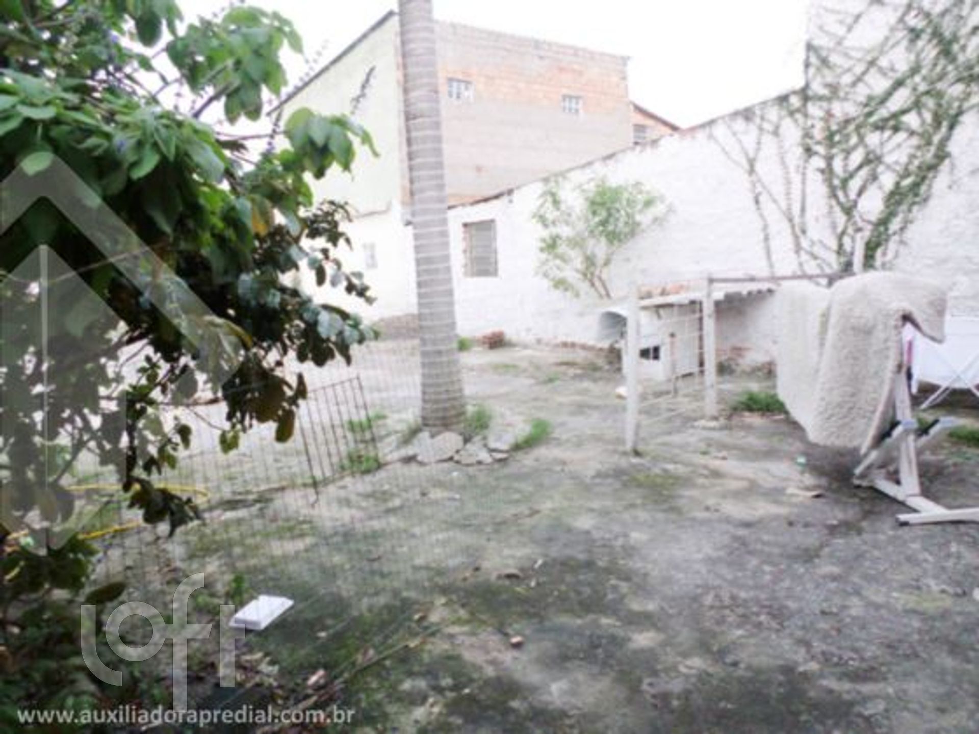 Imagem da propriedade 3