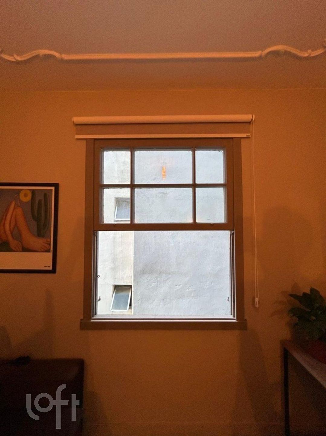 Imagem da propriedade 20