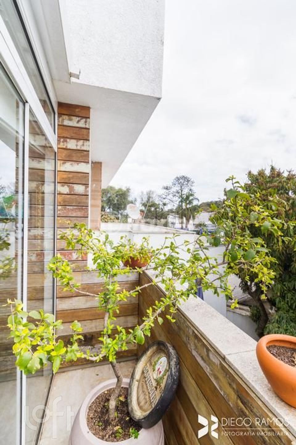 Imagem da propriedade 8