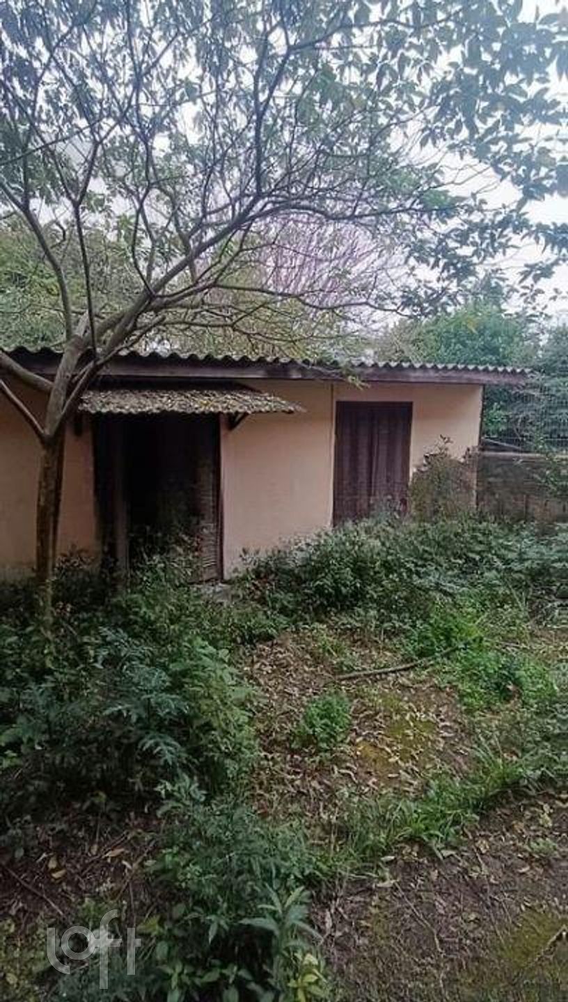 Imagem da propriedade 3