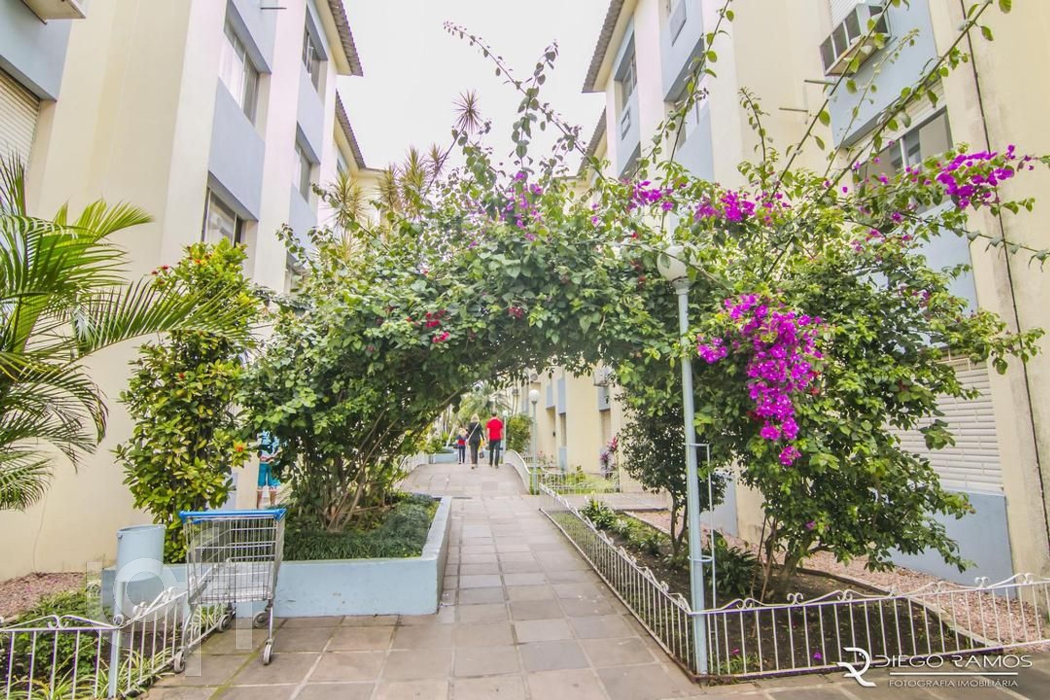 Imagem da propriedade 39