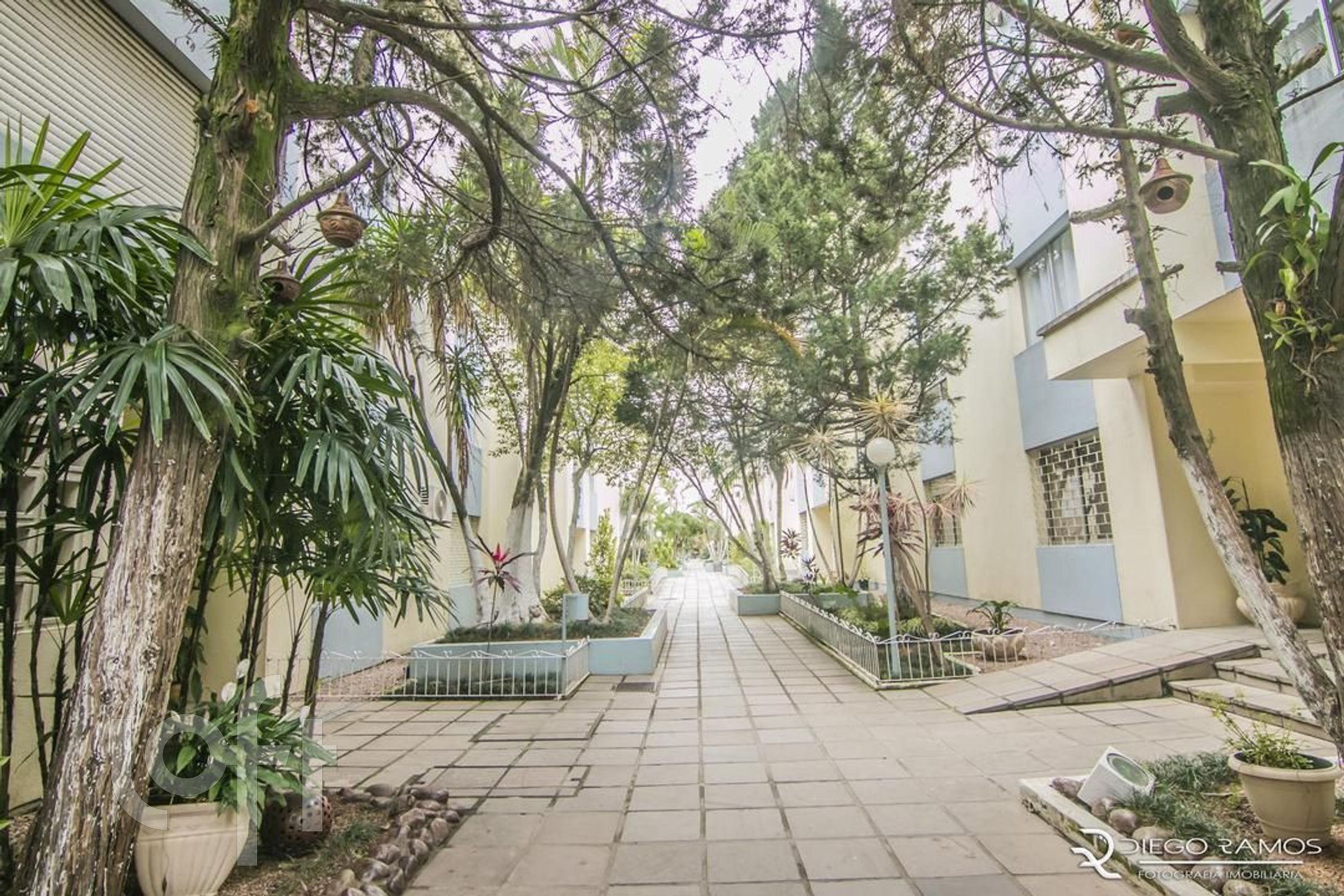 Imagem da propriedade 19