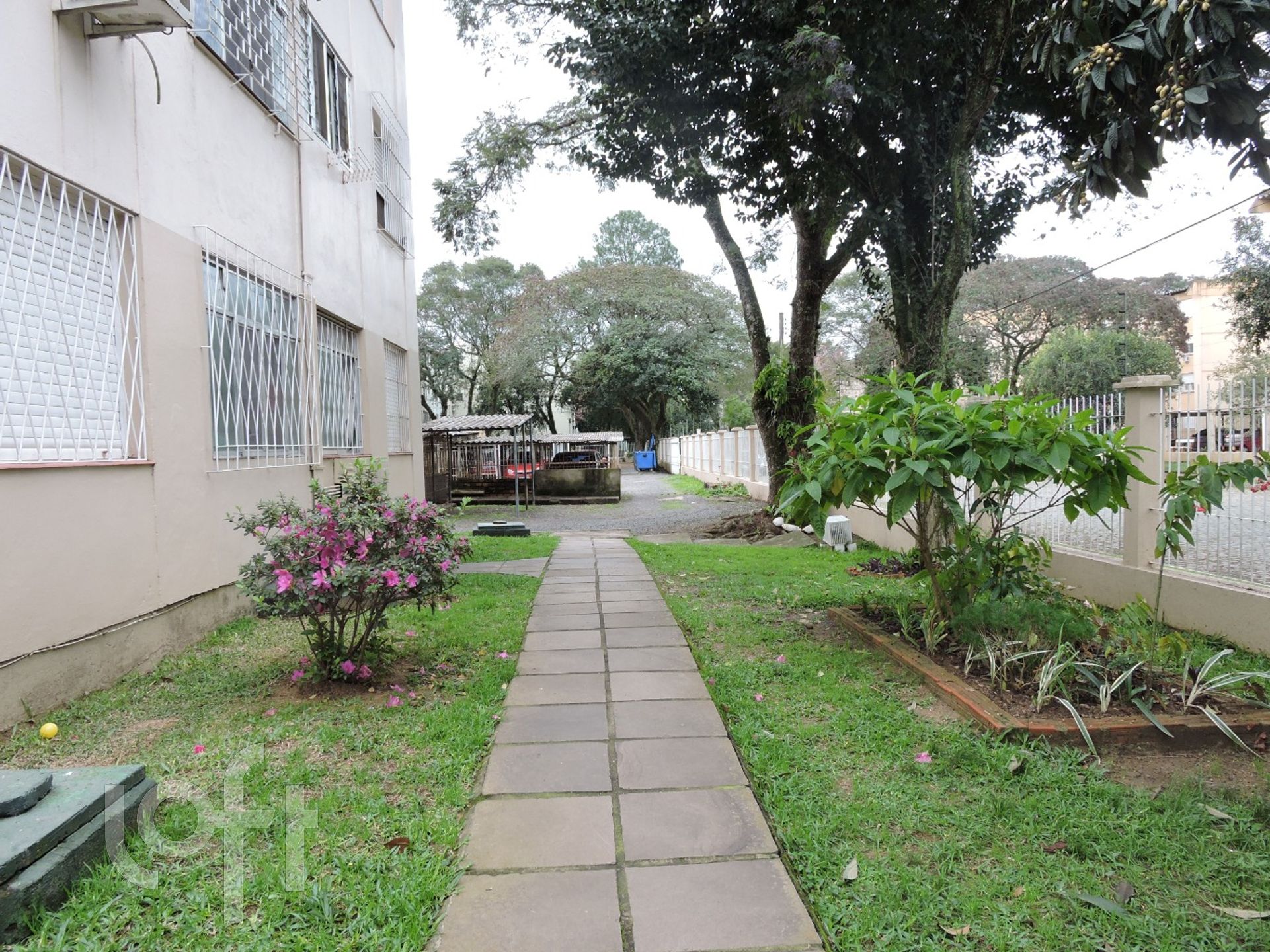 Imagem da propriedade 19