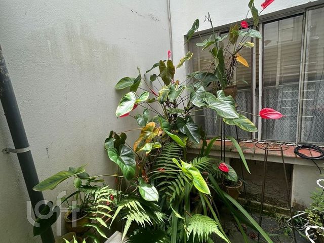 Casa com 234m², 3 dormitórios, 2 vagas, Higienópolis em Porto Alegre