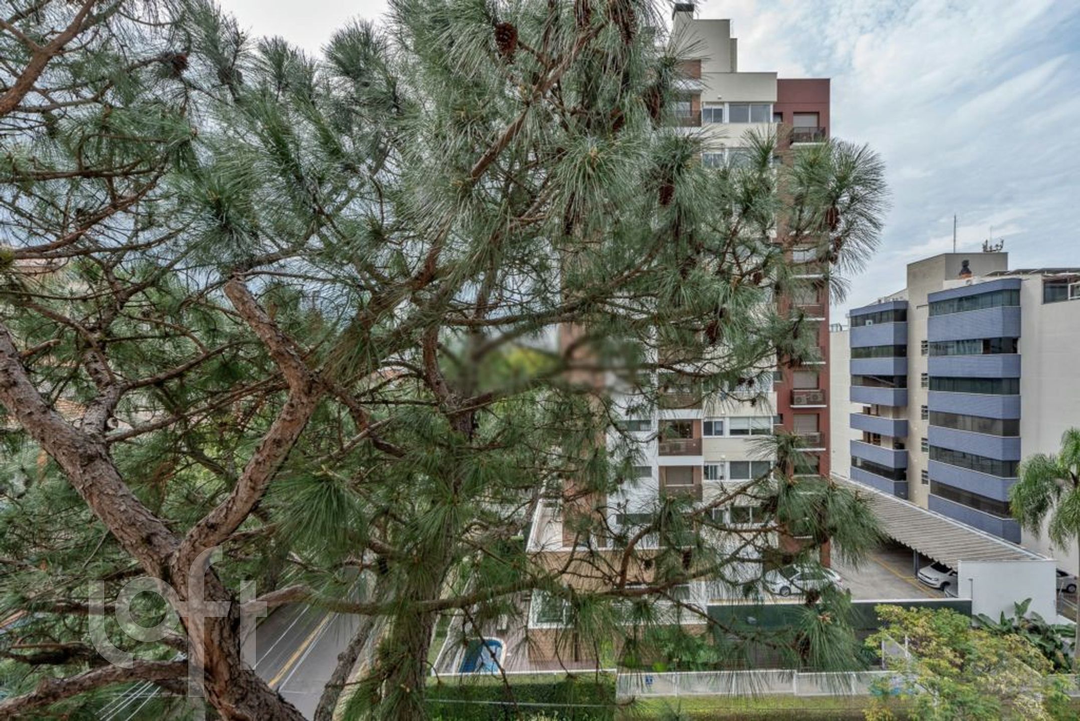 Imagem da propriedade 13