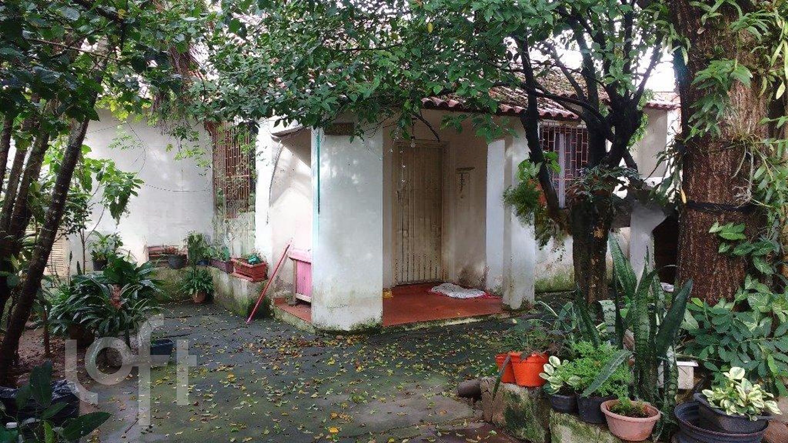 Imagem da propriedade 9