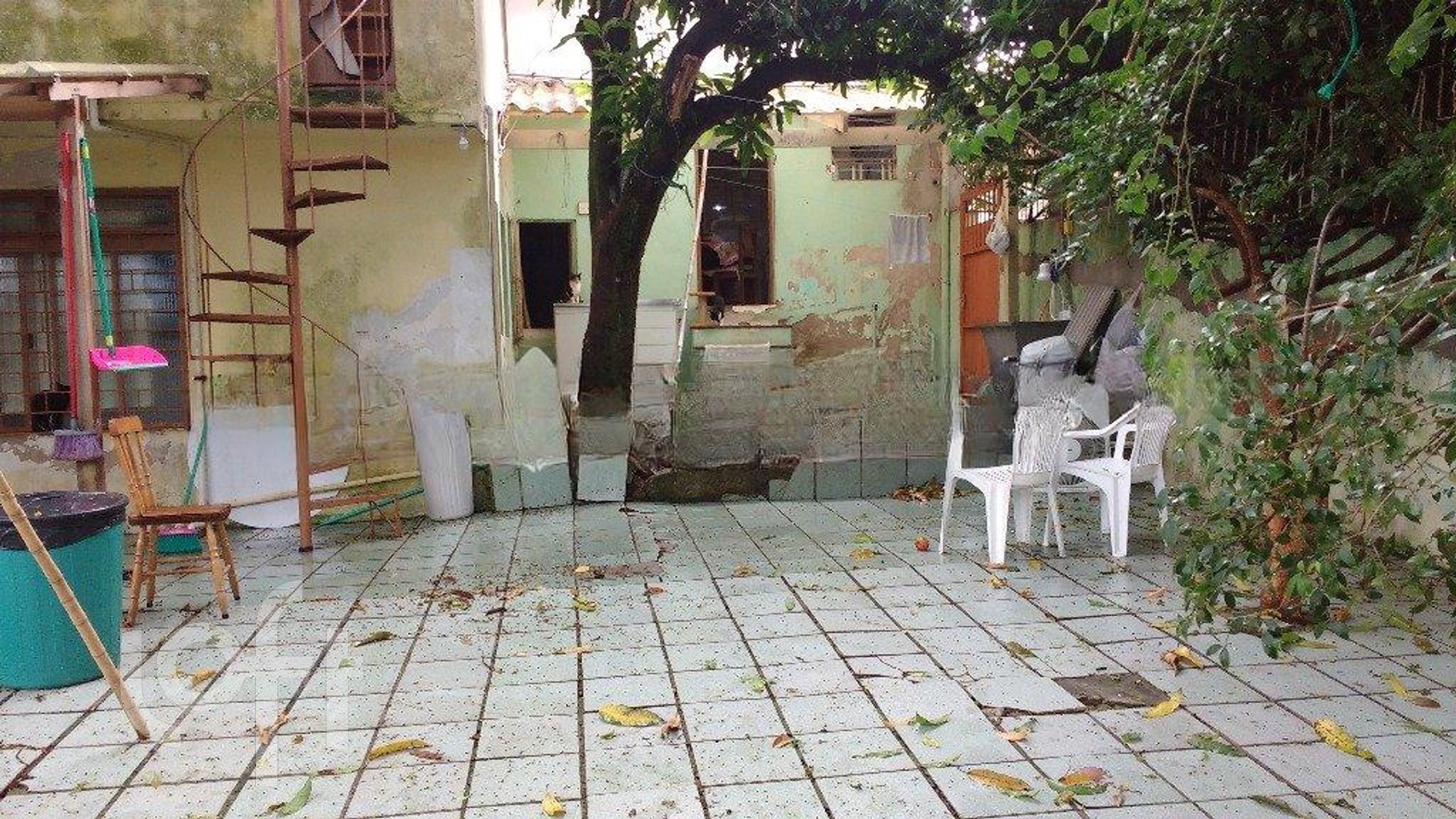 Imagem da propriedade 13