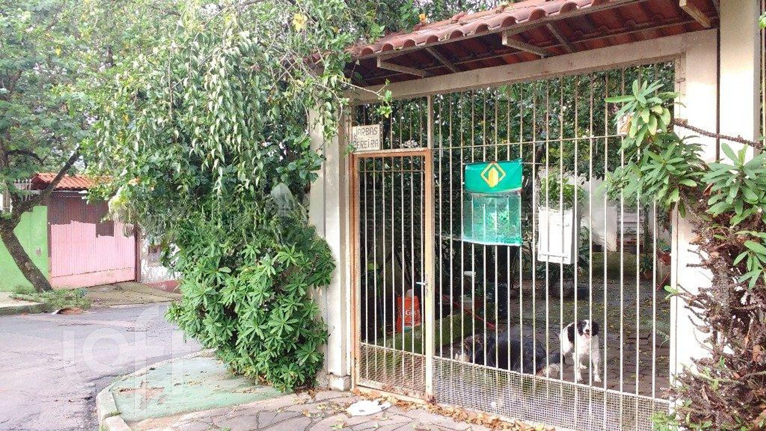 Imagem da propriedade 7