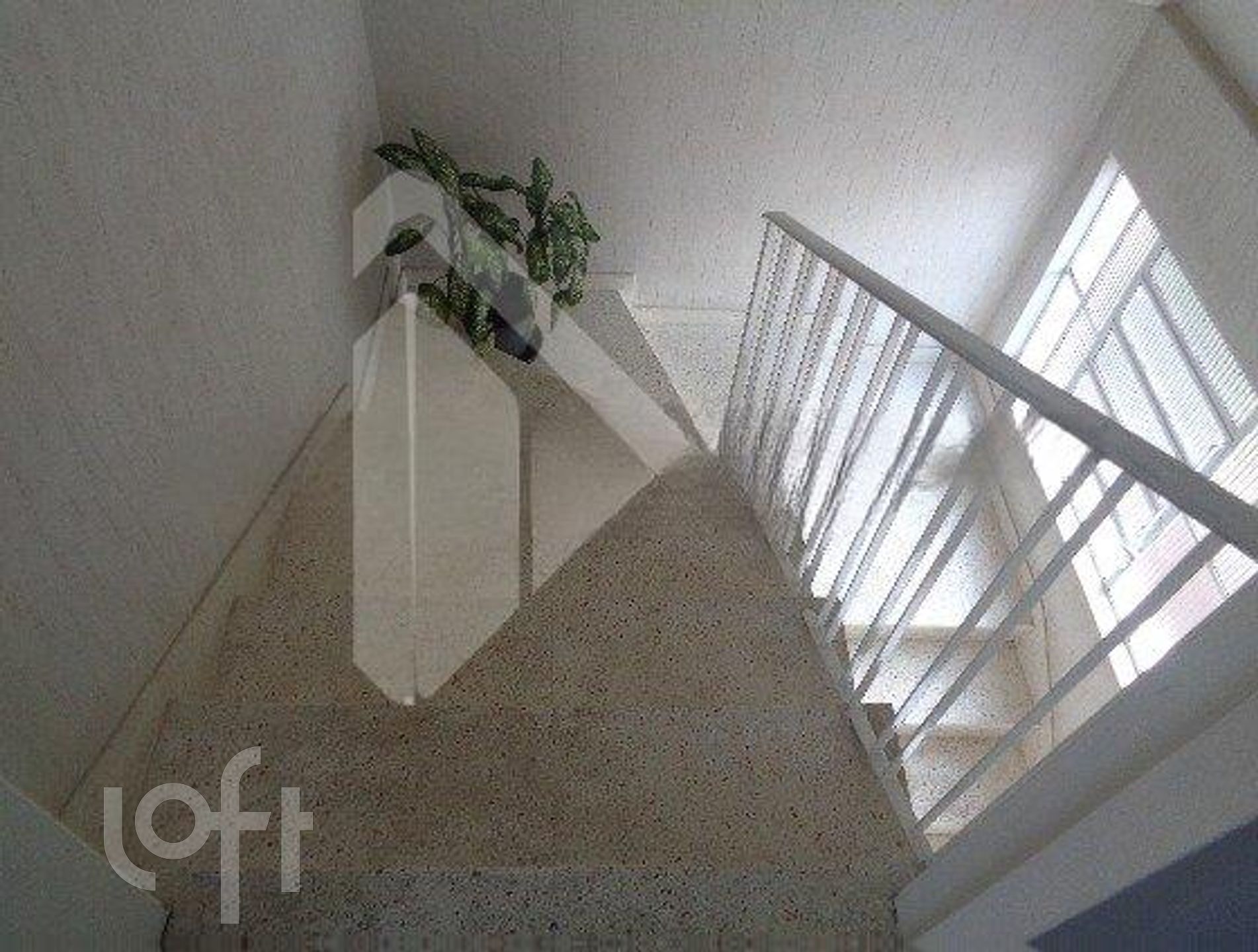 Imagem da propriedade 5