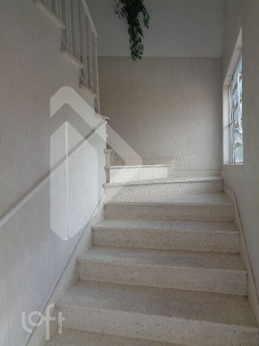 Imagem da propriedade 4