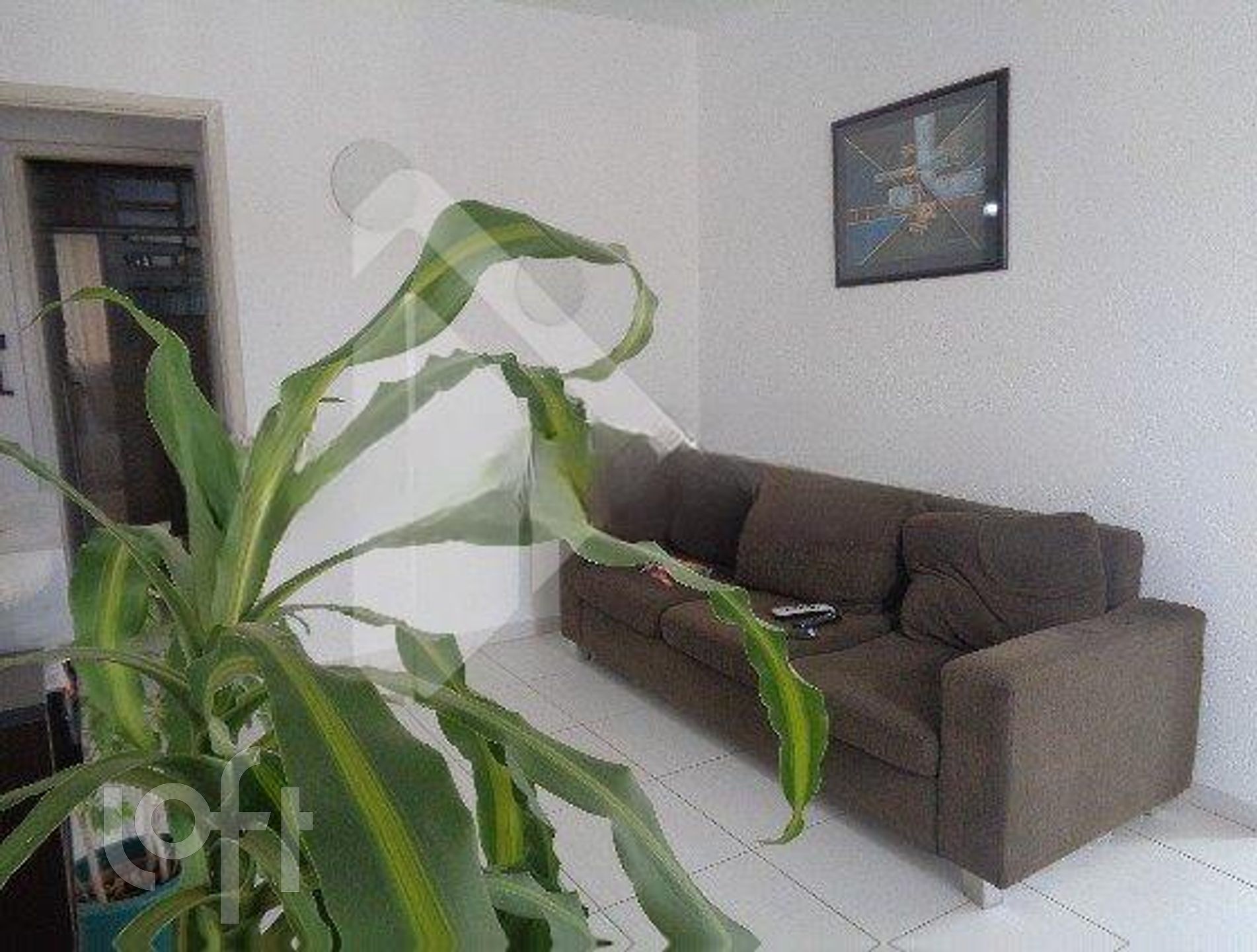 Imagem da propriedade 18