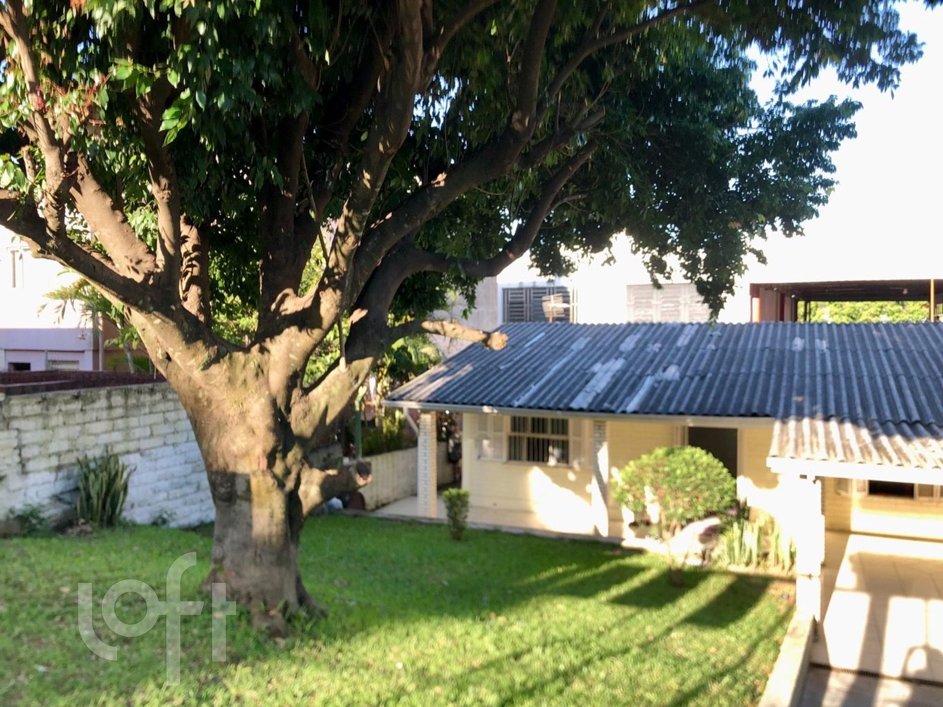 Imagem da propriedade 4