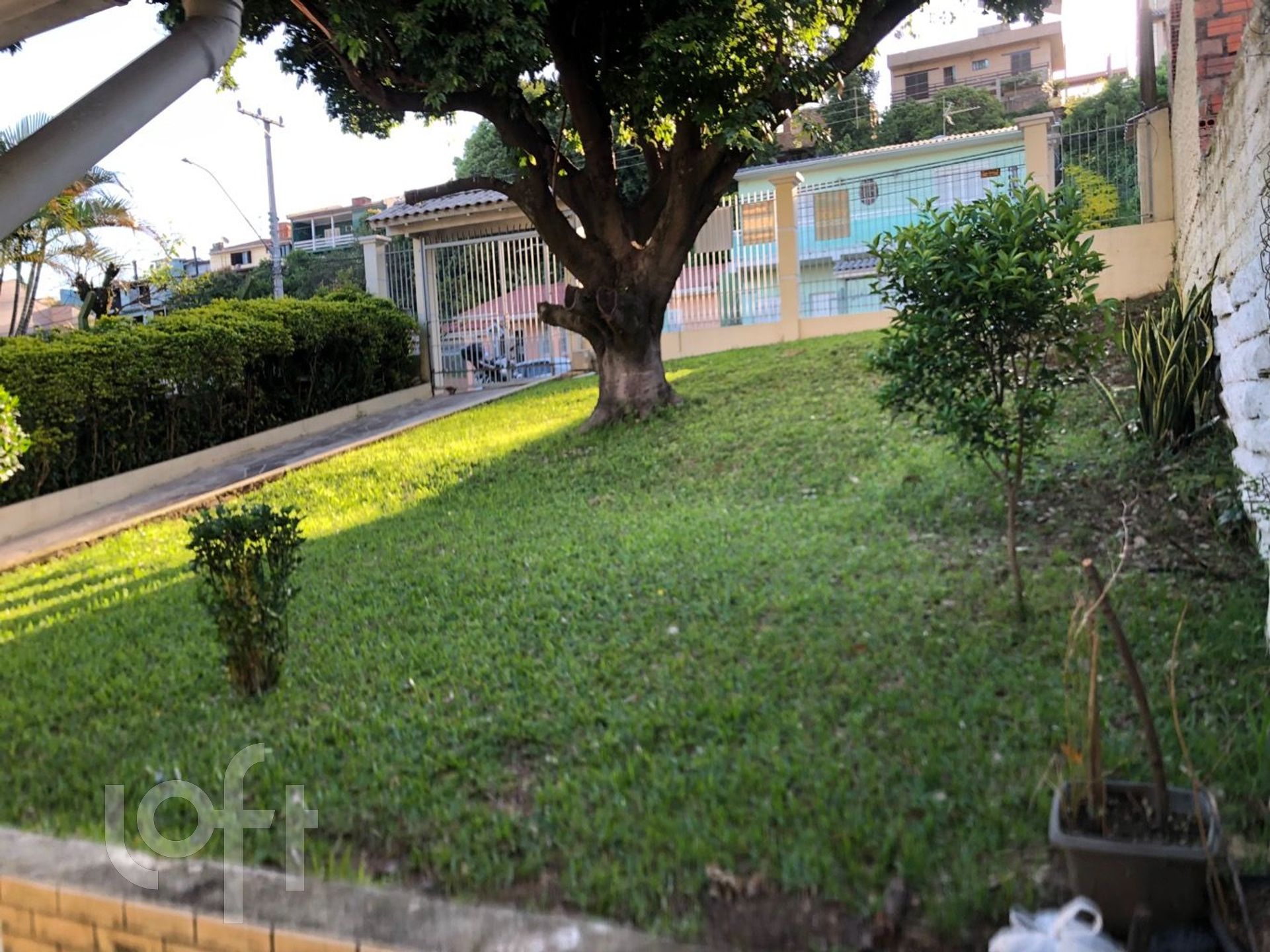 Imagem da propriedade 9