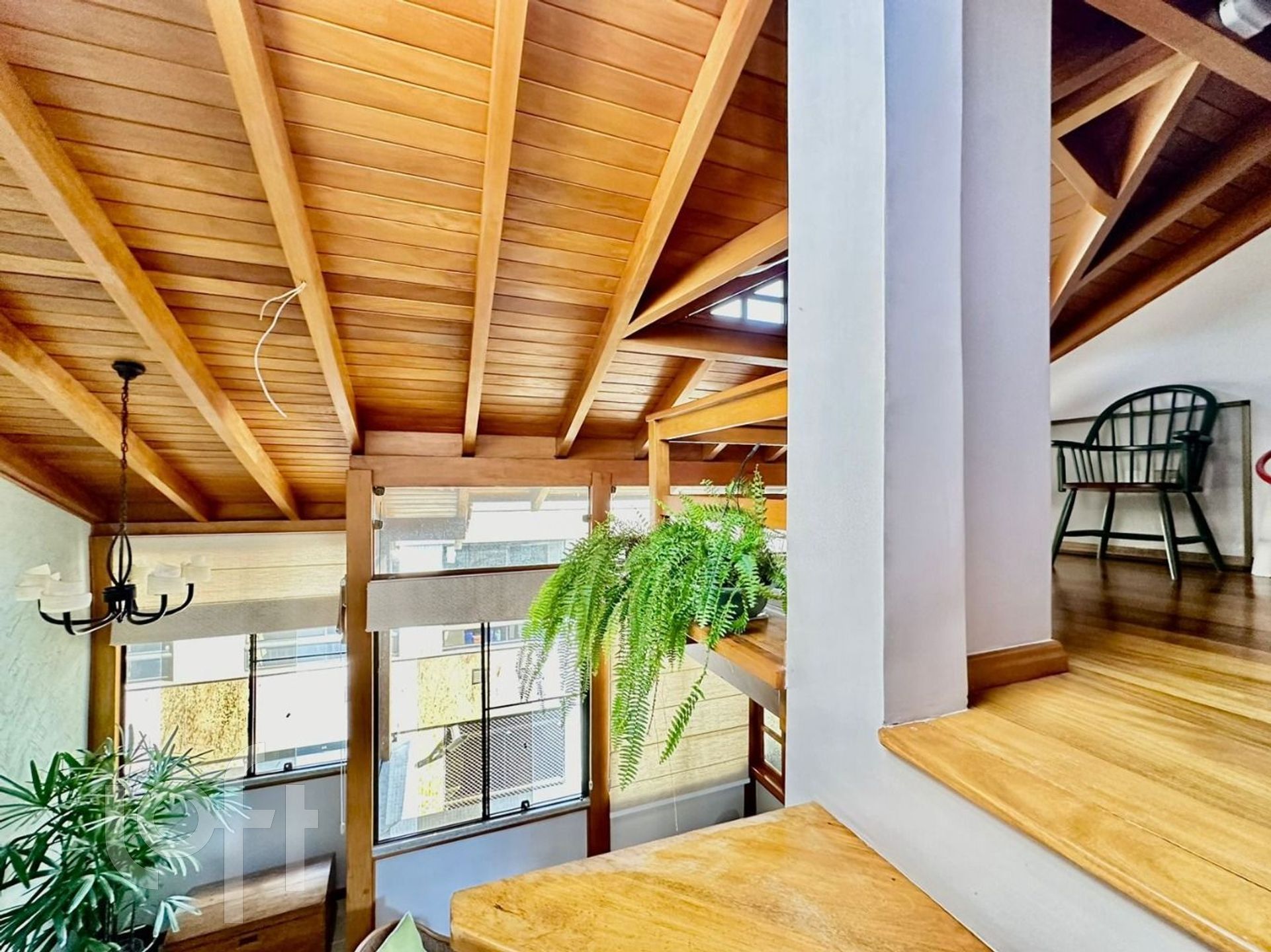 Imagem da propriedade 34