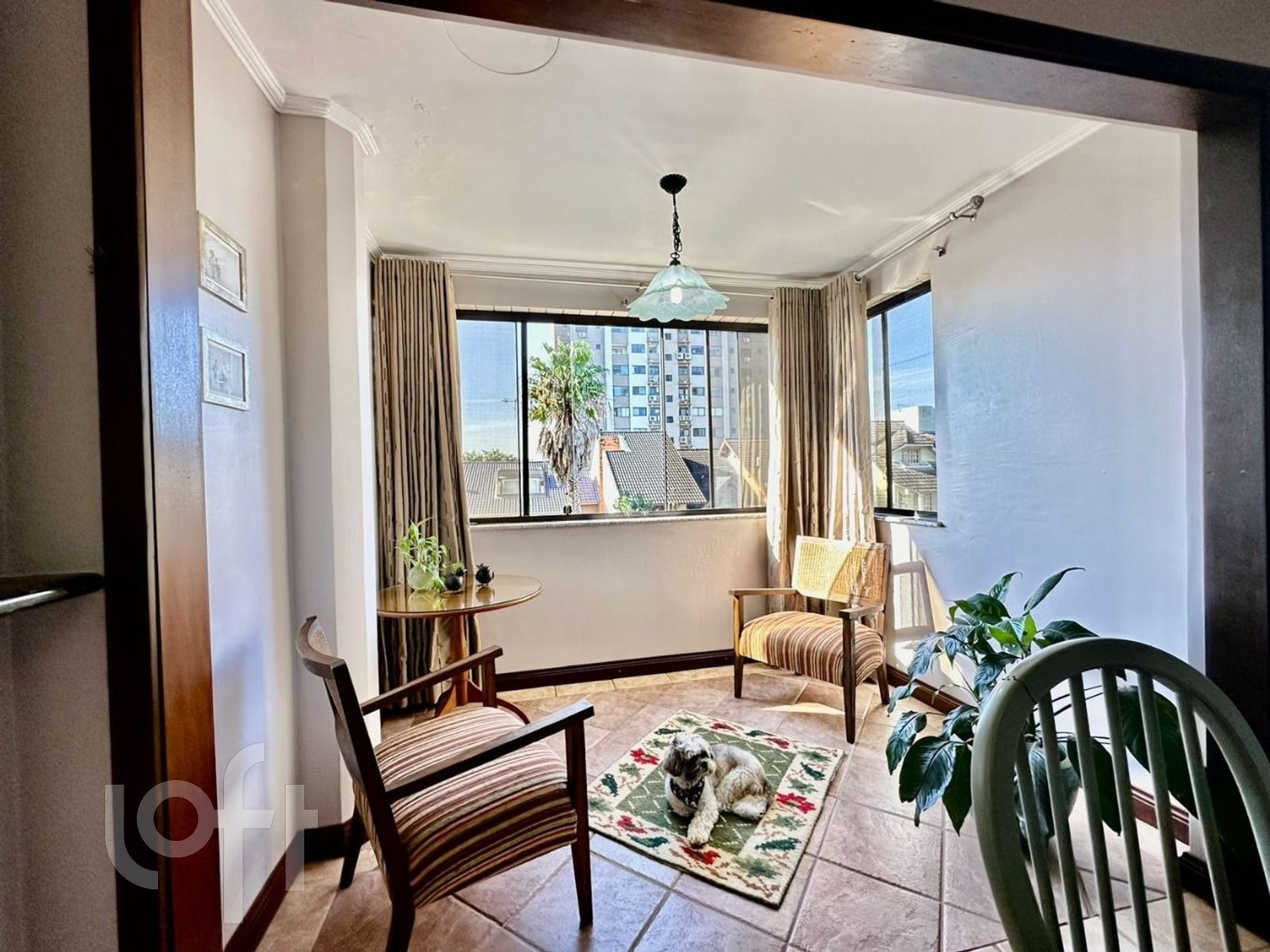 Imagem da propriedade 3